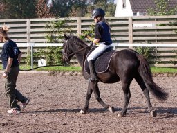 IMG_7138_web